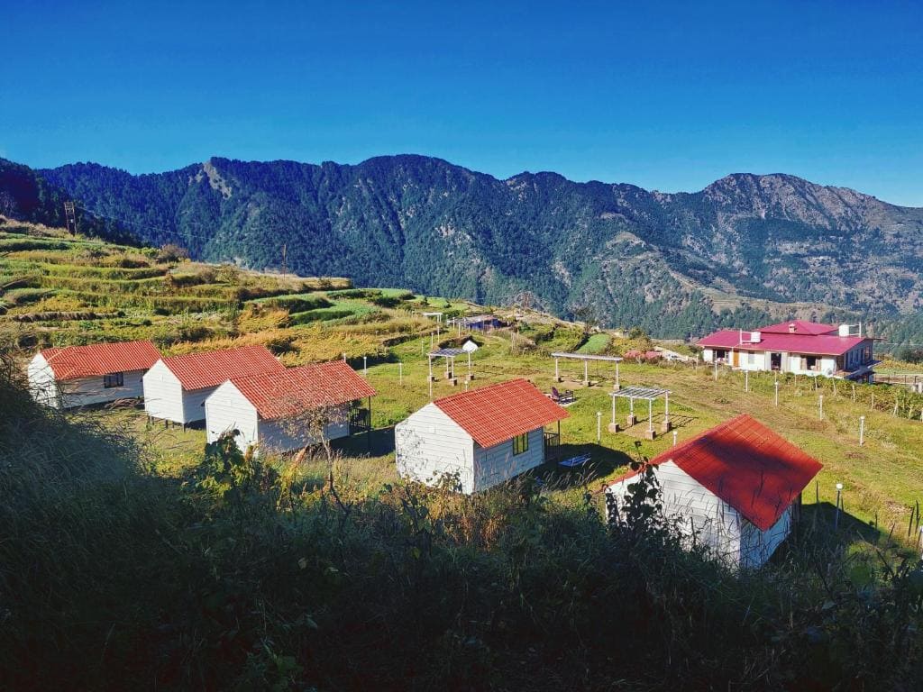 The Hillside Cottages