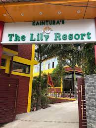 The Lily Resort